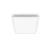 Philips Touch Lámpara de Techo LED Blanca, 1 luz