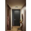 Philips Hue Enrave Lámpara de Techo LED Negro, 1 luz, Mando a distancia