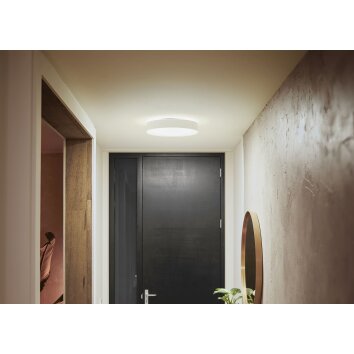 Philips Hue Enrave Lámpara de Techo LED Blanca, 1 luz, Mando a distancia