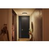 Philips Hue Enrave Lámpara de Techo LED Negro, 1 luz, Mando a distancia