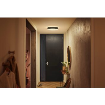 Philips Hue Enrave Lámpara de Techo LED Negro, 1 luz, Mando a distancia