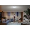 Philips Hue Enrave Lámpara de Techo LED Blanca, 1 luz, Mando a distancia