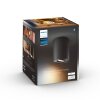 Philips Hue Pillar Lámpara de Techo LED Negro, 1 luz