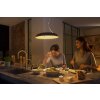 Philips Hue Amaze Lámpara Colgante LED Negro, 1 luz, Mando a distancia