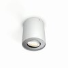 Philips Hue Pillar Lámpara de Techo LED Blanca, 1 luz, Mando a distancia