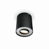 Philips Hue Pillar Lámpara de Techo LED Negro, 1 luz, Mando a distancia