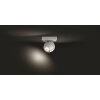 Philips Hue Buckram Lámpara de Techo LED Blanca, 1 luz