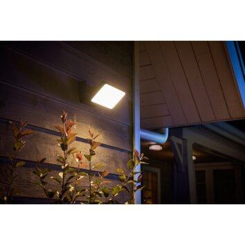 Philips Hue White Welcome Aplique para exterior LED Negro, 1 luz