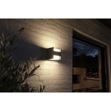 Philips Hue White Fuzo Aplique para exterior LED Negro, 1 luz