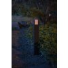 Philips Hue White Fuzo Poste de Jardín LED Negro, 1 luz