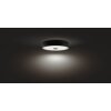 Philips Hue Fair Lámpara de Techo LED Negro, 1 luz, Mando a distancia