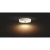 Philips Hue Fair Lámpara de Techo LED Blanca, 1 luz, Mando a distancia