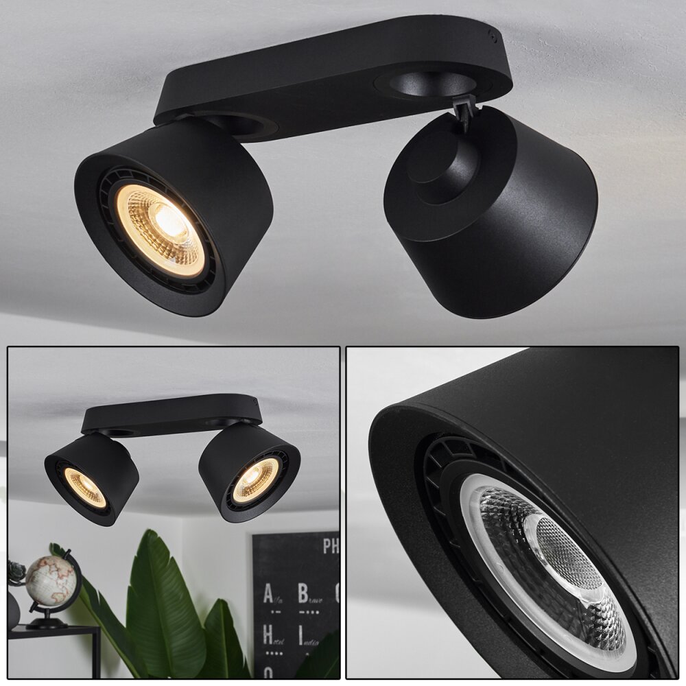 Especiosa Lámpara de Techo Negro, 2 luces main product photo