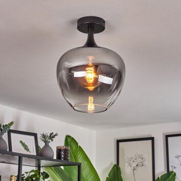 Azurara Lámpara de Techo Transparente, Ahumado, 1 luz