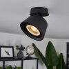 Especiosa Lámpara de Techo Negro, 1 luz