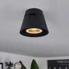 Especiosa Lámpara de Techo Negro, 1 luz