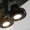 Steinhauer MEXLITE Lámpara de Techo Negro, 4 luces