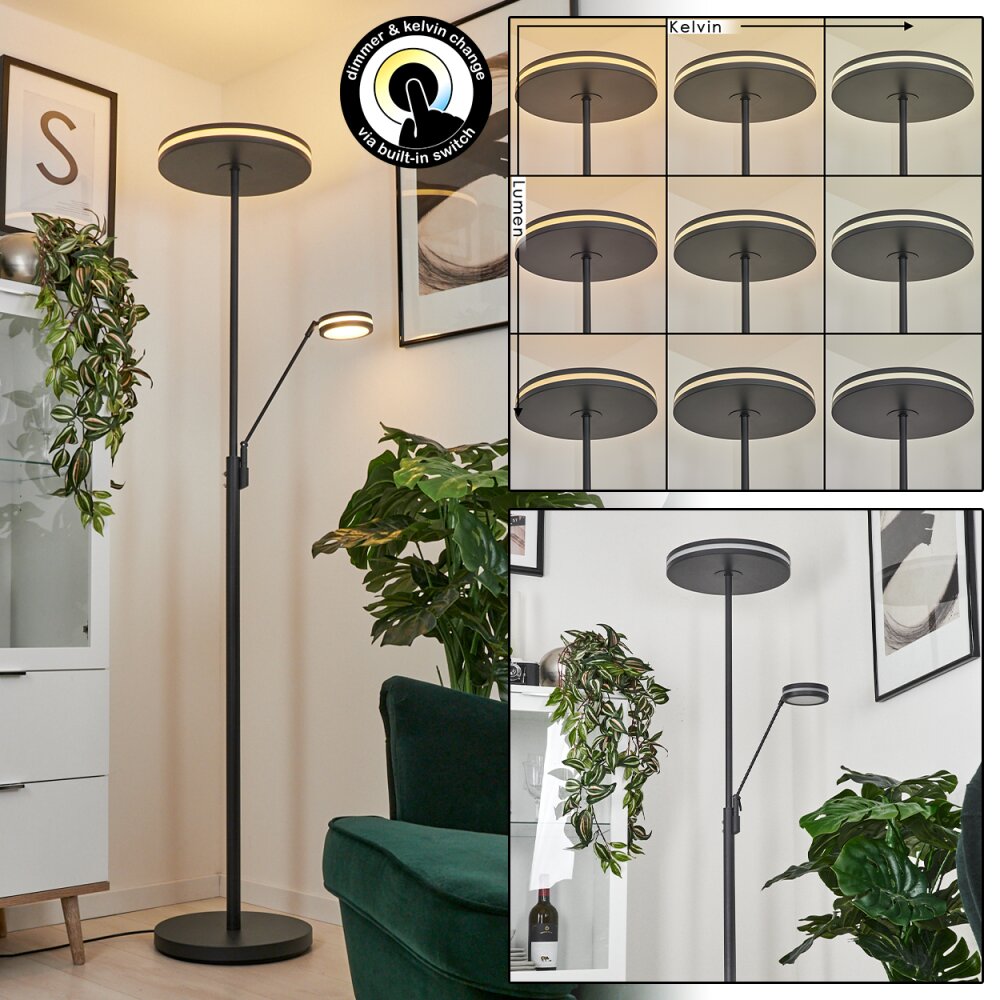 Huallilemu Lámpara de Pie LED Antracita, 2 luces main product photo
