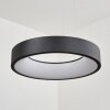 Areja Lámpara Colgante LED Negro, Blanca, 1 luz