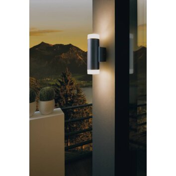 Eglo RIGA-LED Aplique para exterior Negro, 2 luces
