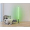 Eglo PICACHA Lámpara de Pie LED Negro, 1 luz, Mando a distancia, Cambia de color Eglo PICACHA Lámpara de Pie LED Negro, 1 luz, Mando a distancia, Cambia de color