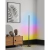 Eglo PICACHA Lámpara de Pie LED Negro, 1 luz, Mando a distancia, Cambia de color Eglo PICACHA Lámpara de Pie LED Negro, 1 luz, Mando a distancia, Cambia de color