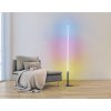 Eglo PICACHA Lámpara de Pie LED Negro, 1 luz, Mando a distancia, Cambia de color Eglo PICACHA Lámpara de Pie LED Negro, 1 luz, Mando a distancia, Cambia de color