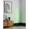 Eglo PICACHA Lámpara de Pie LED Negro, 1 luz, Mando a distancia, Cambia de color Eglo PICACHA Lámpara de Pie LED Negro, 1 luz, Mando a distancia, Cambia de color