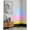 Eglo PICACHA Lámpara de Pie LED Negro, 1 luz, Mando a distancia, Cambia de color Eglo PICACHA Lámpara de Pie LED Negro, 1 luz, Mando a distancia, Cambia de color