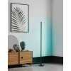 Eglo PICACHA Lámpara de Pie LED Negro, 1 luz, Mando a distancia, Cambia de color Eglo PICACHA Lámpara de Pie LED Negro, 1 luz, Mando a distancia, Cambia de color