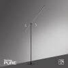 Paul Neuhaus PURE-GRAFO Lámpara de Pie LED Negro, 1 luz