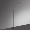 Paul Neuhaus PURE-GRAFO Lámpara de Pie LED Negro, 1 luz