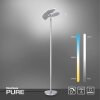 Paul Neuhaus PURE-MUTIL Lámpara de Pie LED Acero bruñido, 2 luces