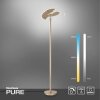 Paul Neuhaus PURE-MUTIL Lámpara de Pie LED Latón, 2 luces