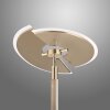 Paul Neuhaus PURE-MUTIL Lámpara de Pie LED Latón, 2 luces