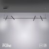Paul Neuhaus PURE-TUTUA Lámpara Colgante LED Negro, 4 luces