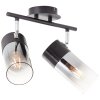 Brilliant Alia Lámpara de Techo Negro, 2 luces