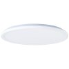 Brilliant Saltery Lámpara de Techo LED Blanca, 1 luz, Mando a distancia, Cambia de color