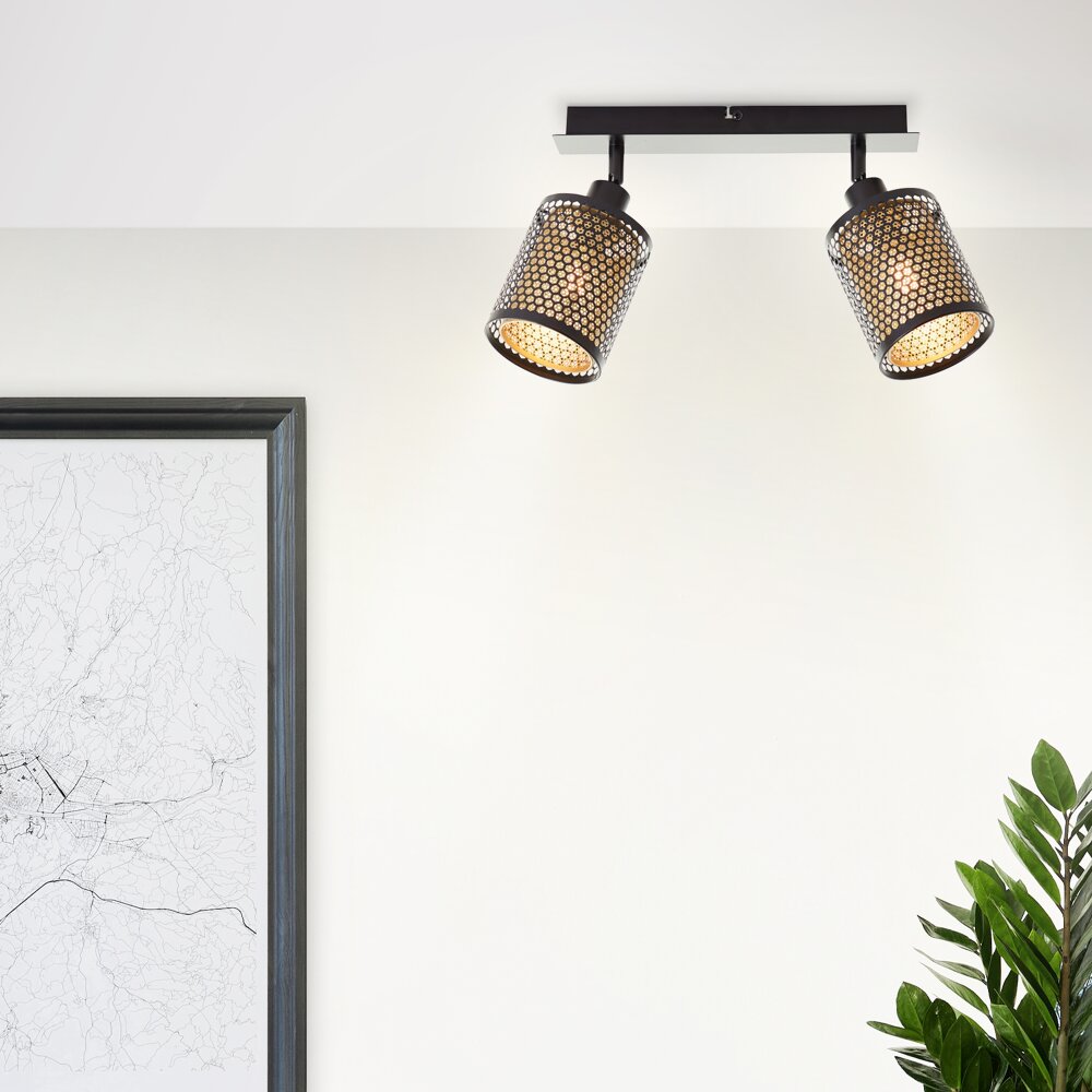 Brilliant Cheval Lámpara de Techo Negro, 2 luces main product photo