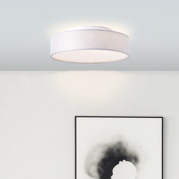 Brilliant Anissa Lámpara de Techo LED Blanca, 1 luz