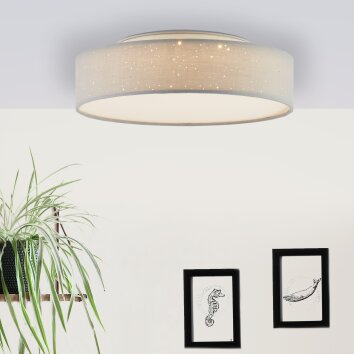 Brilliant Baska Lámpara de Techo LED Blanca, 1 luz