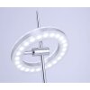 Paul Neuhaus Q-AMY Lámpara de Mesa LED Acero inoxidable, 2 luces, Mando a distancia