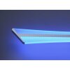 Lámpara de Techo Paul Neuhaus Q-Riller LED Cromo, 2 luces, Mando a distancia, Cambia de color