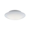 Paul Neuhaus Q-ARKTIS Lámpara de Techo LED Blanca, 1 luz, Mando a distancia, Cambia de color