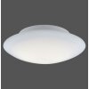 Paul Neuhaus Q-ARKTIS Lámpara de Techo LED Blanca, 1 luz, Mando a distancia, Cambia de color