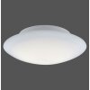 Paul Neuhaus Q-ARKTIS Lámpara de Techo LED Blanca, 1 luz, Mando a distancia, Cambia de color