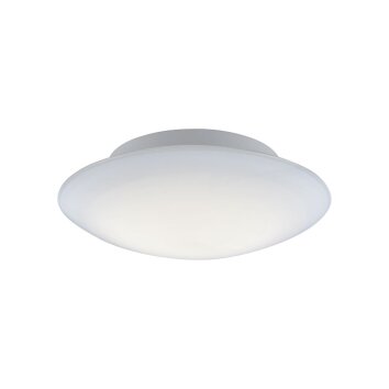 Paul Neuhaus Q-ARKTIS Lámpara de Techo LED Blanca, 1 luz, Mando a distancia, Cambia de color