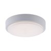 Paul Neuhaus Q-LENNY Lámpara de Techo LED Blanca, 1 luz, Mando a distancia, Cambia de color