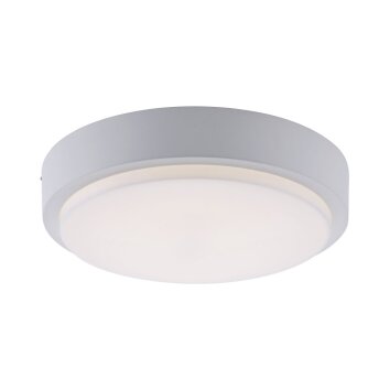 Paul Neuhaus Q-LENNY Lámpara de Techo LED Blanca, 1 luz, Mando a distancia, Cambia de color