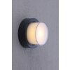 Paul Neuhaus Q-ERIK Lámpara de techo o pared LED Blanca, 1 luz, Sensor de movimiento, Mando a distancia, Cambia de color